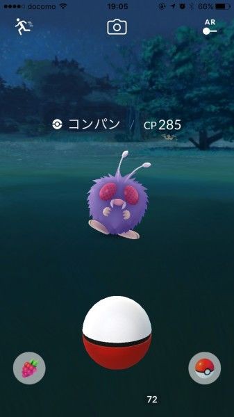 ポケモンgo なんか後ろでゴソゴソしてるなと思ったらコンパンｗｗｗｗ ポケモンgo速報まとめ