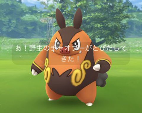 イッシュ御三家の進化後が先にきたぜぇｗｗｗソース変わって爆湧きのおかげかｗｗｗ ポケモンgo速報まとめ