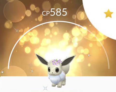 畜生 ニンフィアに進化できるのついてる色イーブイしかいねえｗｗ ポケモンgo速報まとめ