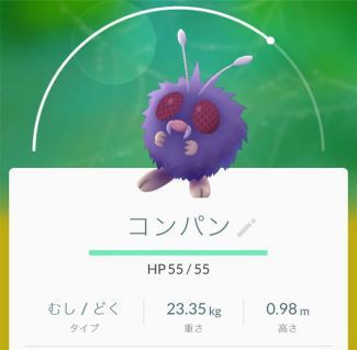 ポケモンgo コンパンいらねえ ポケモンgo速報まとめ