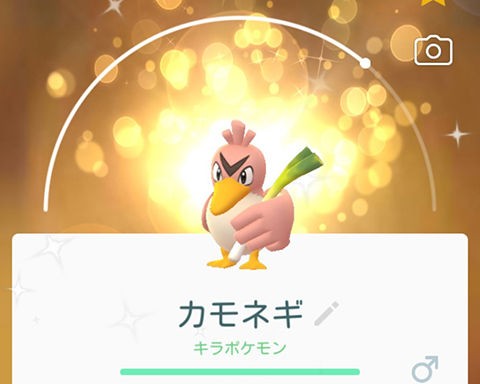 今後化けるかもしれないからなｗｗｗ最近カモネギよくでてくるよねｗｗｗ ポケモンgo速報まとめ