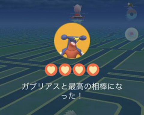 これ知らなかったｗｗガブリアスが最高の相棒になったのにがんばリボンが付かねぇなｗｗ ポケモンgo速報まとめ