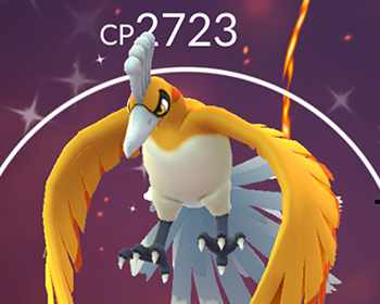 ポケモンgo 色ホウオウの期待値は1 50らしいな ポケモンgo速報まとめ