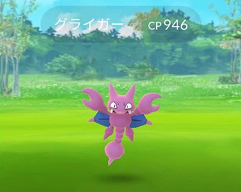 ポケモンgo どこにいるんだ そもそもグライガー自体滅多に見れるもんでもないしなぁ ポケモンgo速報まとめ