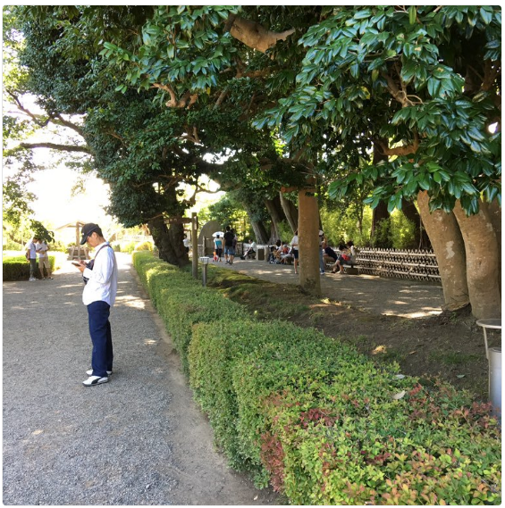 茨城県水戸市 偕楽園がピカチュウの巣からマンキーの巣に変更 ポケモンgoのポケストップ攻略ニュース