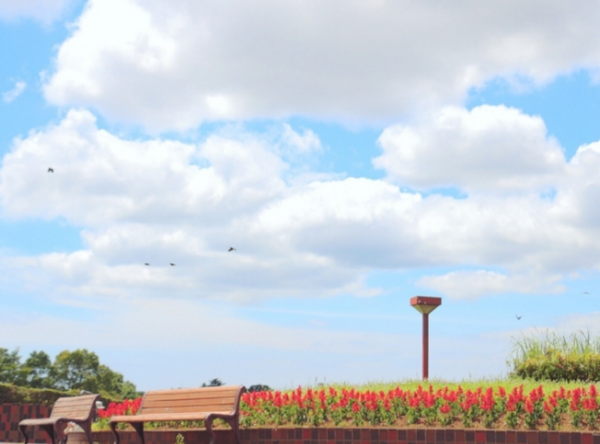 千葉県千葉市 青葉の森公園はポケストップが多くておすすめ ポケモンgoのポケストップ攻略ニュース