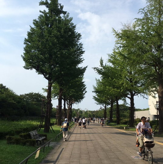 東京都練馬区 光が丘公園はウォーキングしながらポケモンgoがおすすめ ポケモンgoのポケストップ攻略ニュース