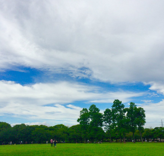 神奈川県横浜市 岸根公園はガーディの巣からニョロモの巣に変更ｗｗｗ ポケモンgoのポケストップ攻略ニュース