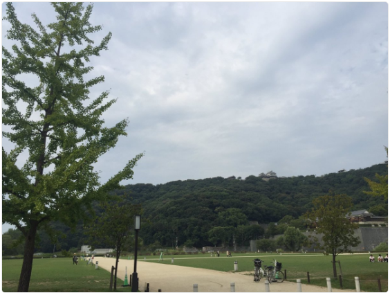 埼玉県桶川市 城山公園はポケストップが豊富で多くの人が訪れるポケスポット ポケモンgoのポケストップ攻略ニュース