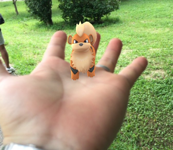 東京都足立区 東綾瀬公園はガーディの巣で確定 ポケモンgoのポケストップ攻略ニュース 東京都足立区 東綾瀬公園はガーディの巣で確定 ポケモンgoのポケストップ攻略ニュース