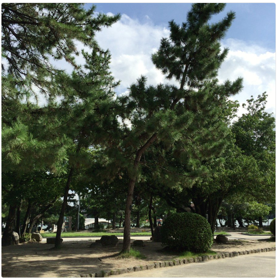 福岡県福岡市 大濠公園はミニリュウが出やすい ポケモンgoのポケストップ攻略ニュース