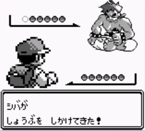 初代ポケモンのシバって何でイワーク２匹使ってたんだよ ポケモンまとめレポート