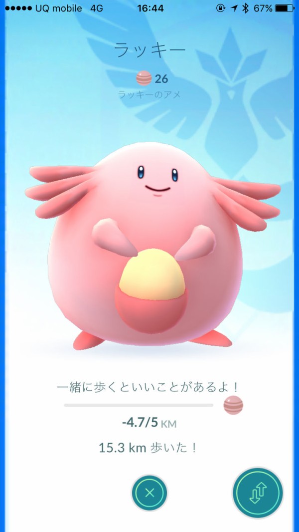ポケモンgo 相棒と歩いた距離が一気にマイナスになるガチで焦るバグ実装ｗｗｗｗｗｗｗ ポケモンgo攻略まとめもり