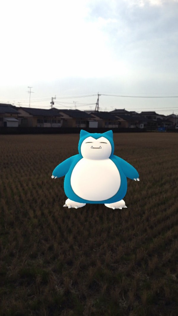 ポケモンgo 熊本県イベント産 野生のカビゴン写真集ｷﾀ ﾟ ﾟ これは羨ましい ポケモンgo攻略まとめもり