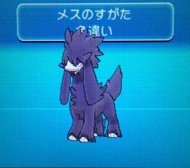 1000以上 ポケモン 色違い 黒 猫 家具 傷 1000以上 ポケモン 色違い 黒 猫 家具 傷