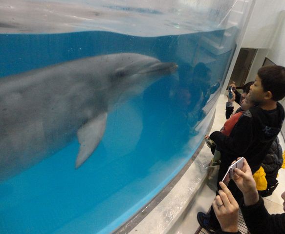 いおワールドかごしま水族館 その2 水族館に行ってまいります