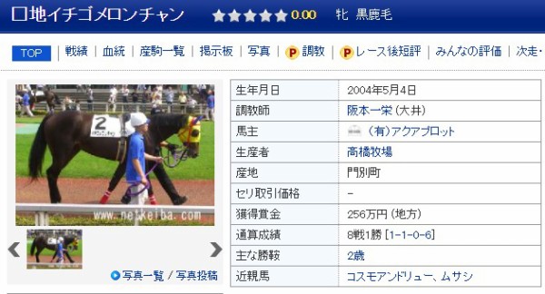 2021pogmy出資馬紹介 リアルダビスタ 一口馬主考 個人馬含む 国内外旅行記