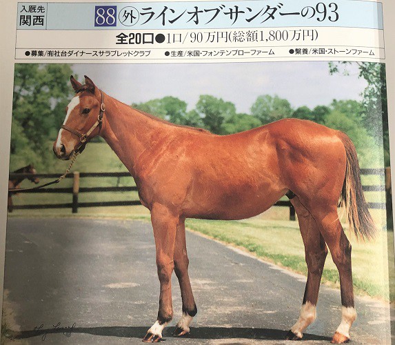 社台グループ繁殖牝馬名鑑2003〜2018（16冊） 社台グループ繁殖牝馬名鑑2003〜2018（16冊）