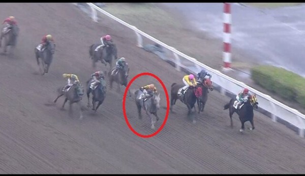 5 13浦和エメラルド特別a2選抜馬d2000m ホワイトヘッド 28戦目 一口馬主考 個人馬含む 国内外旅行記