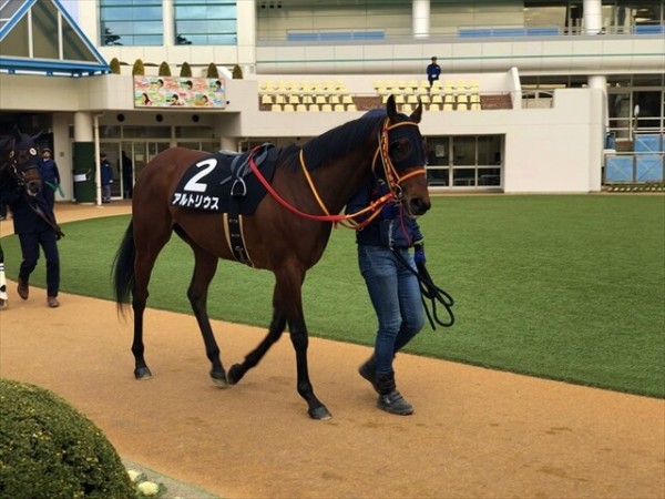 理由の明白な大敗 アルトリウス 21走目 一口馬主考 個人馬含む 国内外旅行記