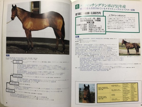 90年代初頭 懐かしの一口馬主カタログ 前編 大樹RH【競走雑記