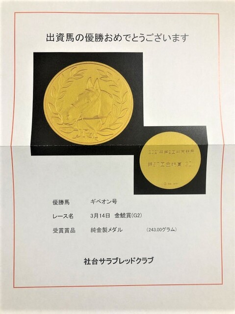 ギベオン金鯱賞メダルチャレンジ【お宝】【ギベオン】 : 【一口馬主考