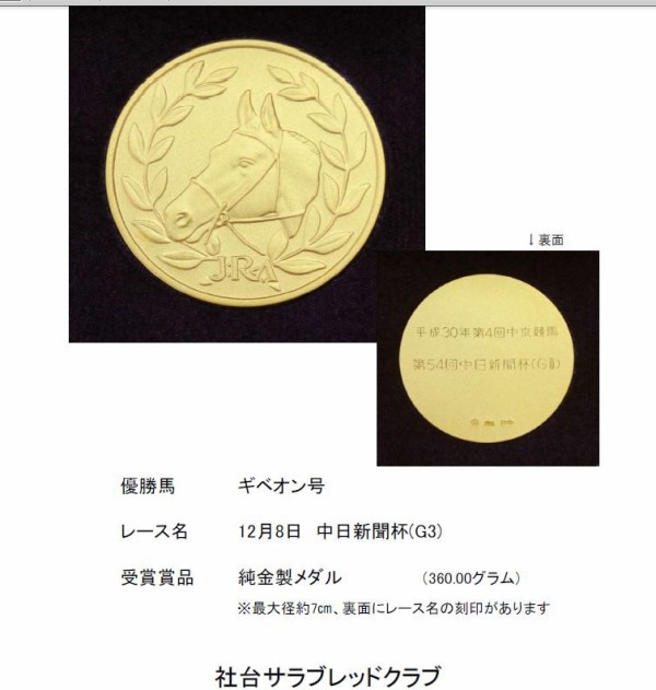 重賞の純金メダル獲得なるか お宝 ギベオン 一口馬主考 個人馬含む 国内外旅行記