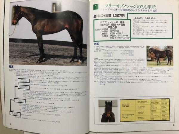 90年代初頭 懐かしの一口馬主カタログ 前編 大樹rh 競走雑記 一口馬主考 個人馬含む 国内外旅行記