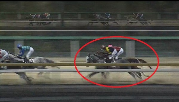 2 11船橋 伊能忠敬20 B1b2 20m ホワイトヘッド 25走目 一口馬主考 個人馬含む 国内外旅行記
