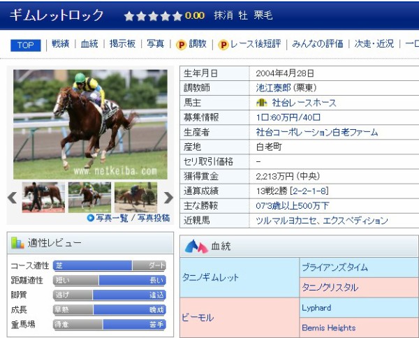 テイエムオペラオー 3歳新馬戦 単勝馬券 換金不可 その他 正規販売代理