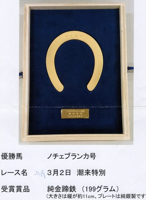 中央競馬GI3勝以上】JRA 実使用 額装蹄鉄 貴重 Yahoo