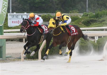 社台牝系 今も活況で社台gに跨るmy Bupers系 2 一口馬主考 個人馬含む 国内外旅行記