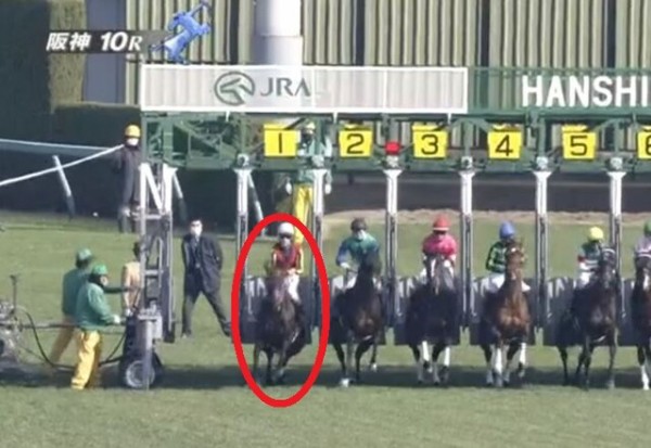 2 26阪神 すみれs レヴァンジル 5走目 一口馬主考 個人馬含む 国内外旅行記