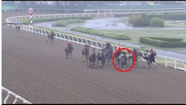 5 13浦和エメラルド特別a2選抜馬d2000m ホワイトヘッド 28戦目 一口馬主考 個人馬含む 国内外旅行記