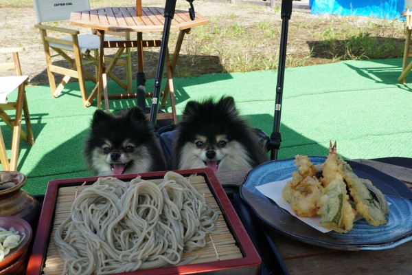 新潟県中越地方のテラスペット可のお店一覧 黒ぽめあんこ と 黒ぽめおはぎ