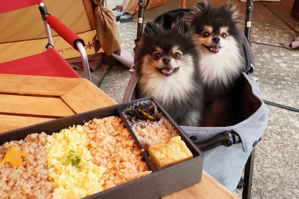 新潟県中越地方のテラスペット可のお店一覧 黒ぽめあんこ と 黒ぽめおはぎ