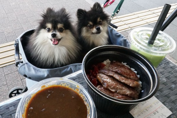 新潟県中越地方のテラスペット可のお店一覧 黒ぽめあんこ と 黒ぽめおはぎ