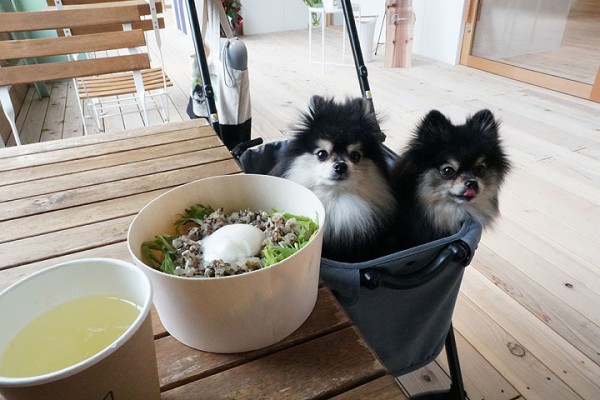 新潟県中越地方のテラスペット可のお店一覧 黒ぽめあんこ と 黒ぽめおはぎ