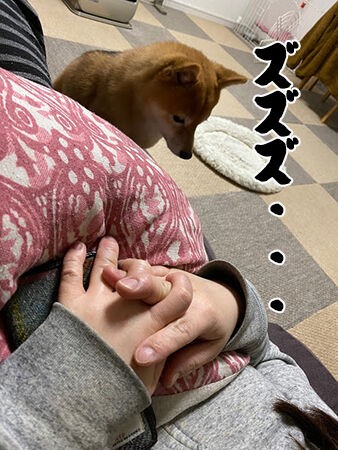 怪談 ぽんさんの電話 豆柴ぽんと写真と旅と