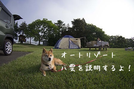 ワンコと行くキャンプ場オートリゾート八雲 豆柴ぽんと北海道