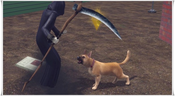 半ダースの犬 リターンズ ５ レベル２から 桂馬のsims3ブログ