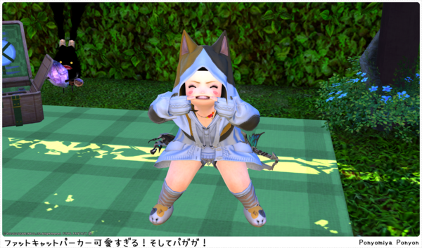 FF14】ファットキャットパーカーとパガガ : 愛と毛玉とプクララ