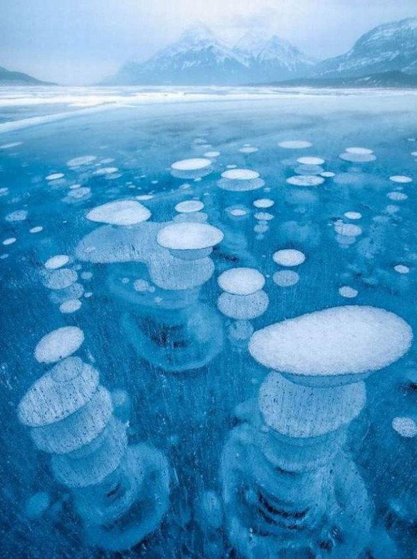 摩訶不思議な自然現象 氷の下の美しき泡 思うことまみれ