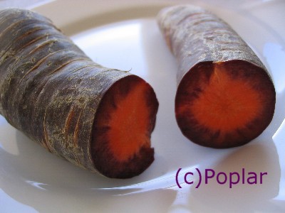 白にんじん 紫にんじん フランスのおへそのアパルトマンから