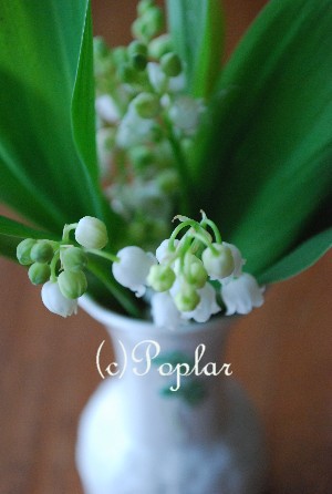 スズランの花と白アスパラガス フランス暮らしとおいしいものたち