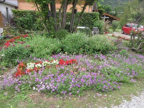 庭の花を夏 秋の花に植え替えました ペンションいぶきのオーナーの日記