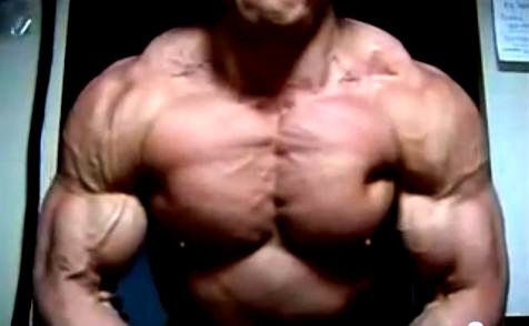 アナボリック ステロイド 使用ボディビルダーその他 Wikipedia他 Let It Bleed