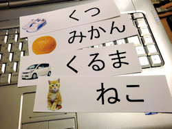 ひらがな単語カード ぽっしゅん教材製作日記