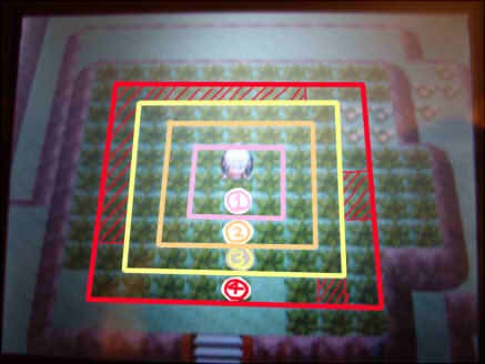 ポケトレについて ポケトレの使い方 ぽてたん日記
