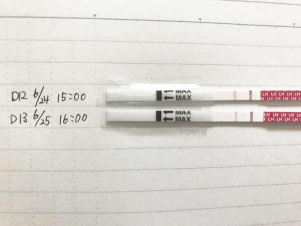 3周期目 D13 排卵検査薬が薄陽性 どんどんのびおりに 考え過ぎ主婦の 2人目ゆる妊活